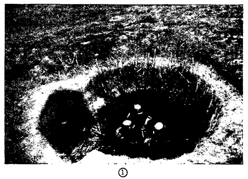 Figure 44.—Heavy mortar emplacement. 
