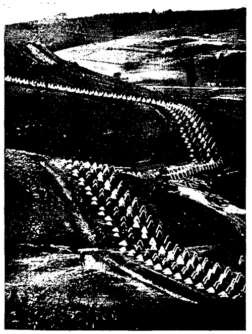 Figure 55.—Dragon's teeth obstacle adapted to broken terrain. 