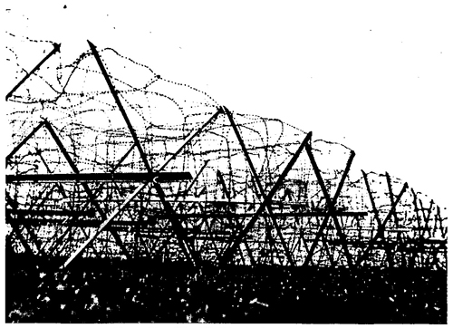 Figure 60.—West Wall barbed-wire obstacle. 