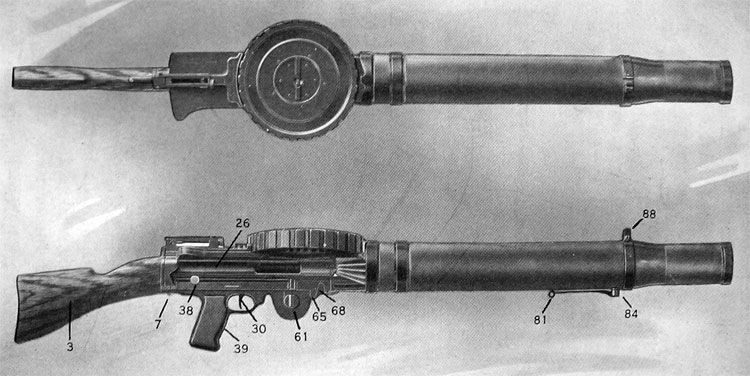 PLATE 1.— Gun Complete, with Magazine and Rifle Buttstock